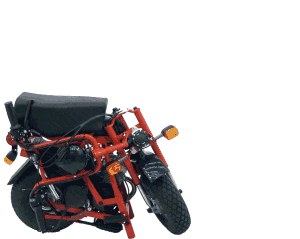 Cyclomoteur pliant DI BLASI Mod. R7
